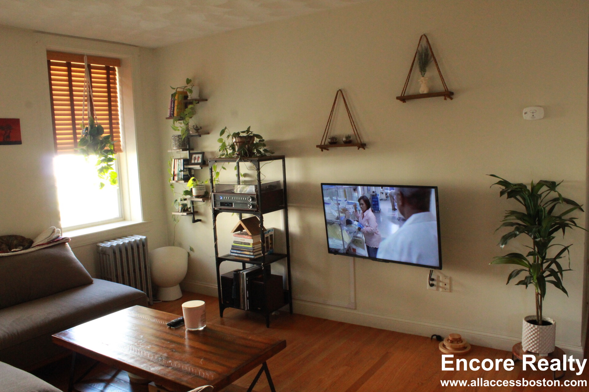 4 Vinal St, Brighton