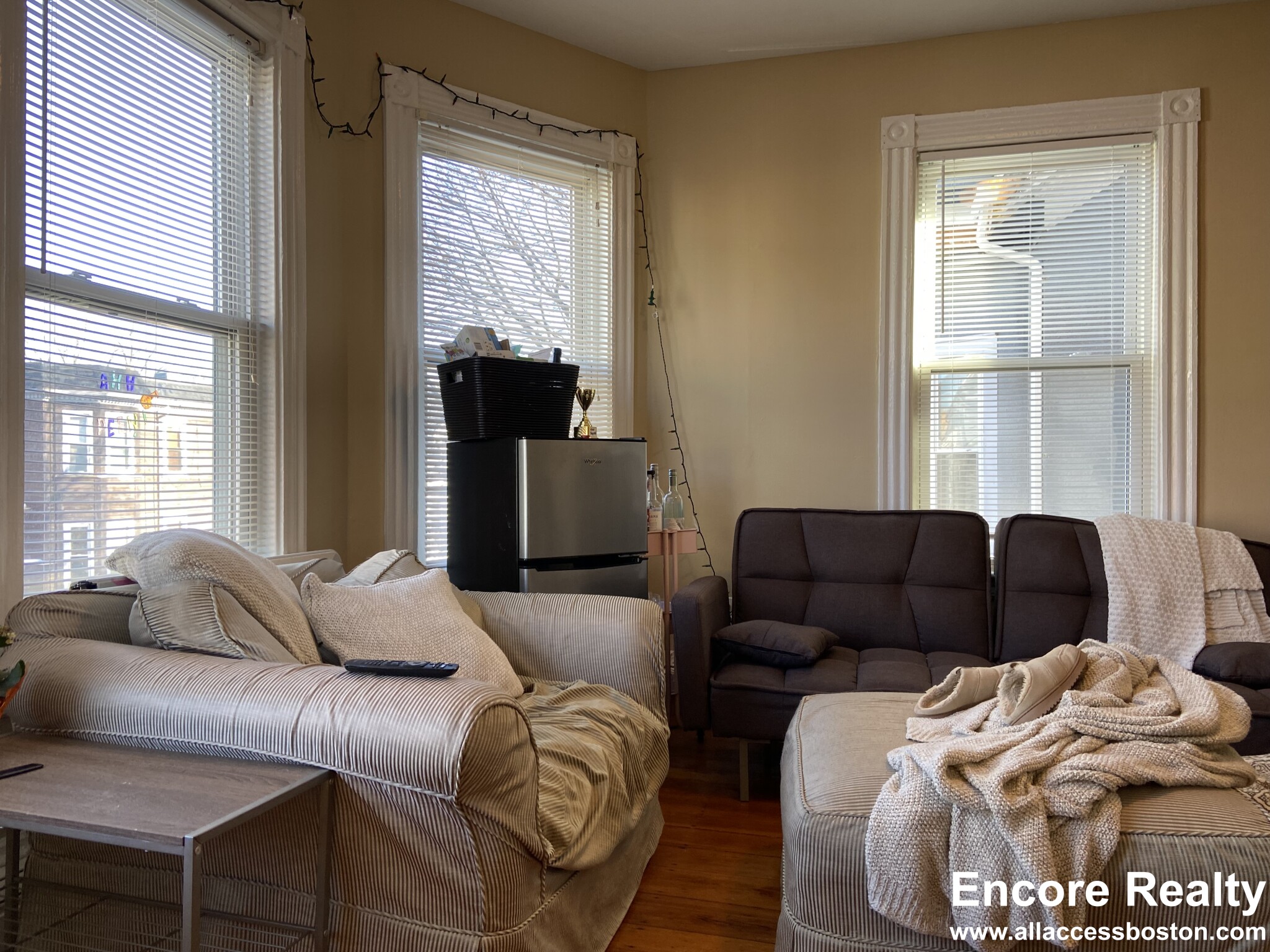 44 Hillside St, Mission Hill