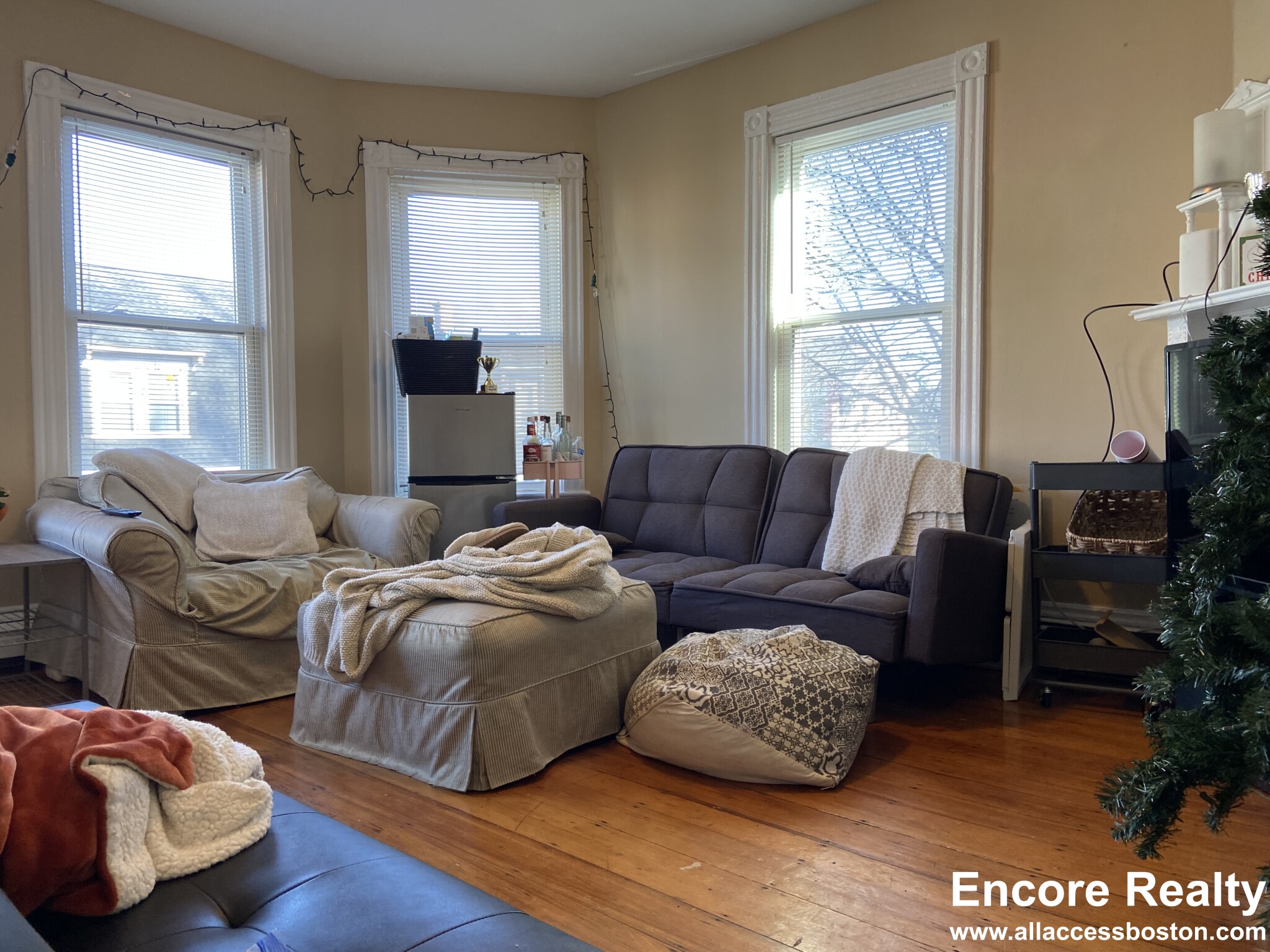 44 Hillside St, Mission Hill