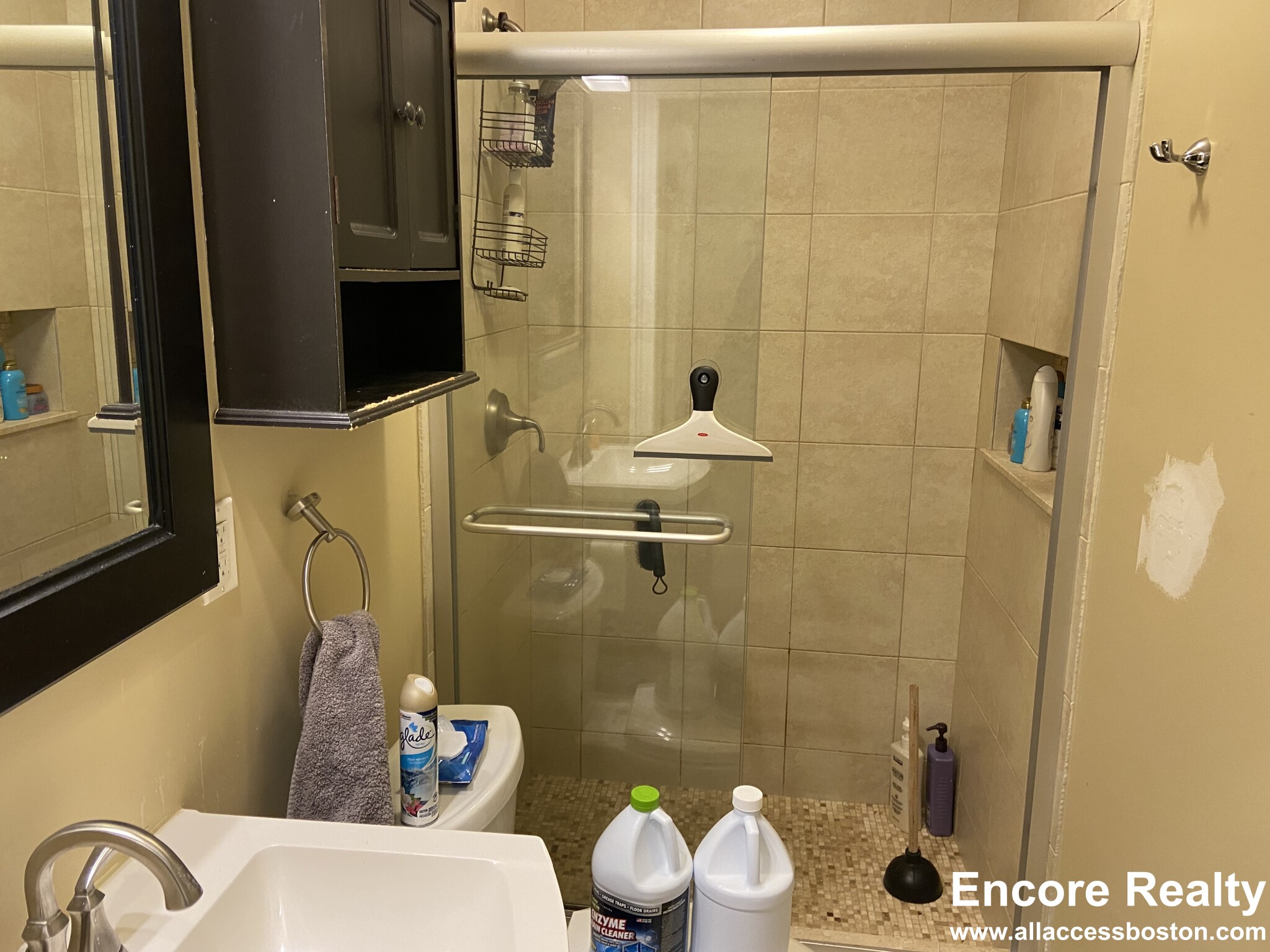 44 Hillside St, Mission Hill