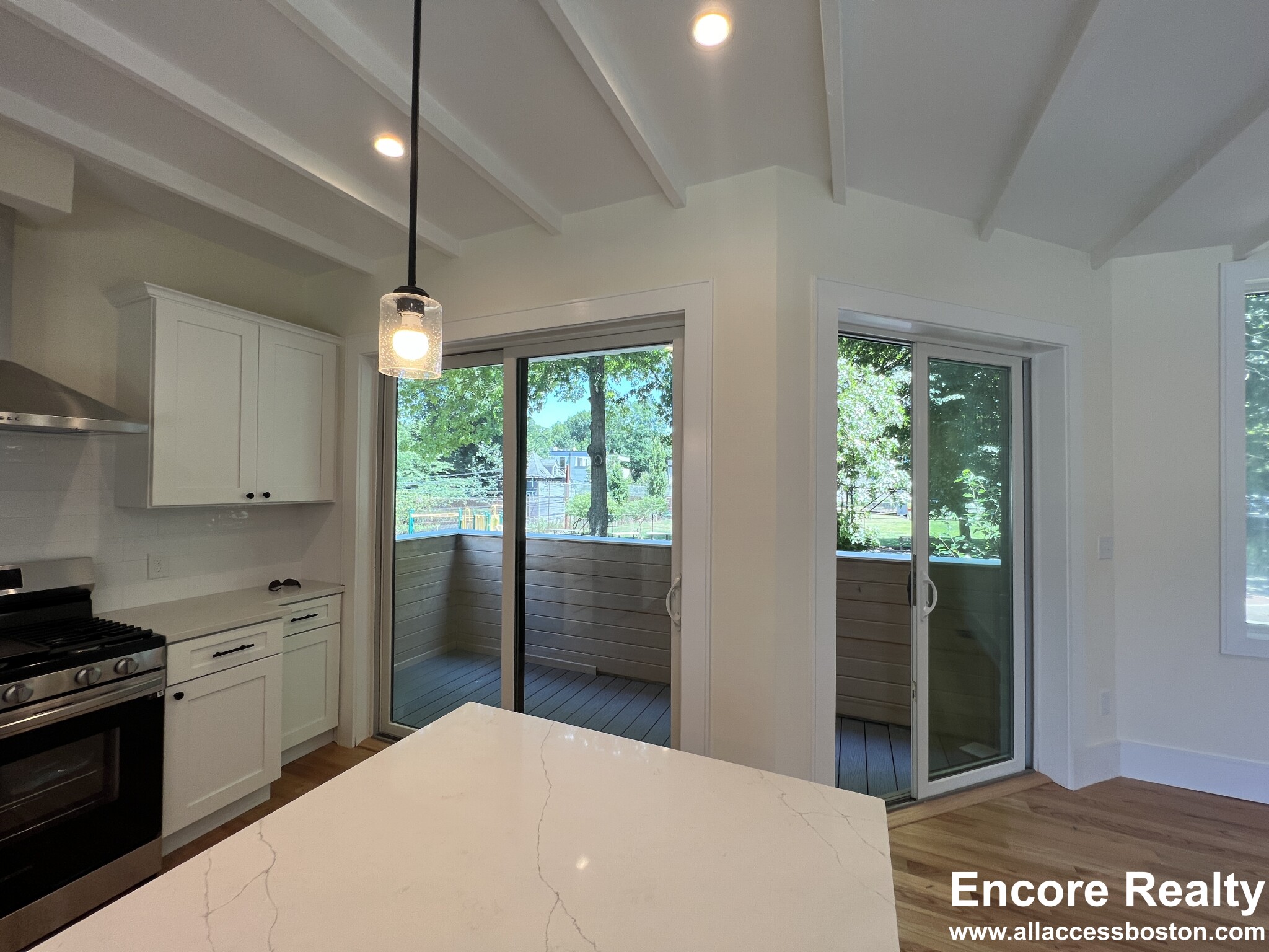 65 Cameron St, Brookline Village