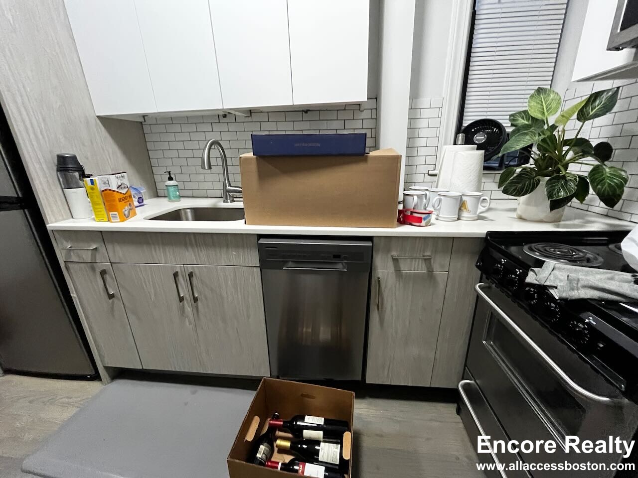 19 Peterborough St, Fenway