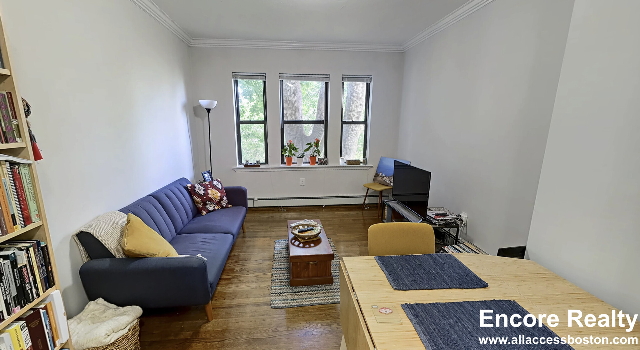 435 Walnut Ave, Jamaica Plain