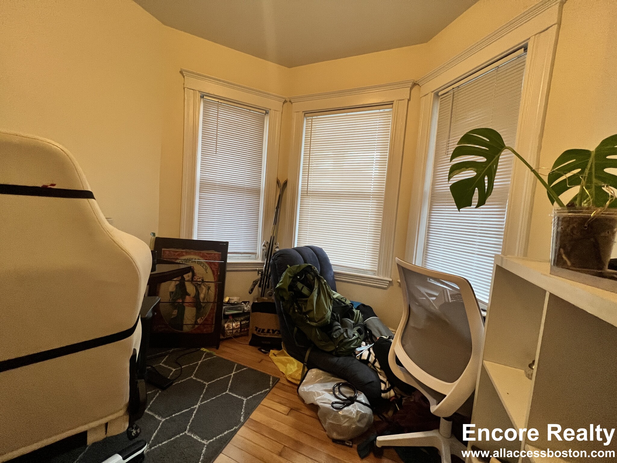 335 Faneuil St, Brighton