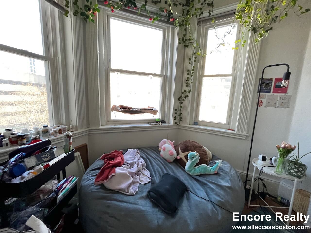 24 Westland Ave, Fenway