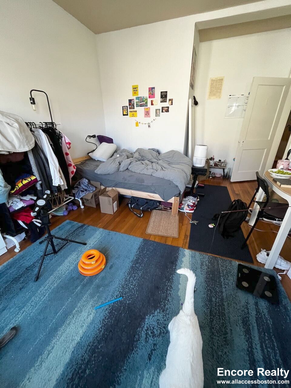 24 Westland Ave, Fenway