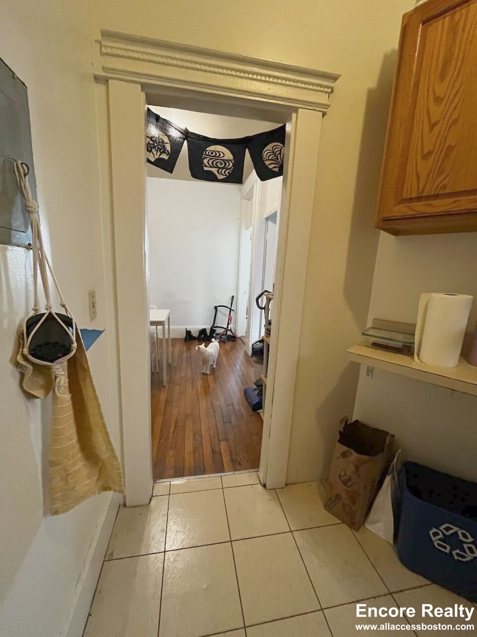 24 Westland Ave, Fenway