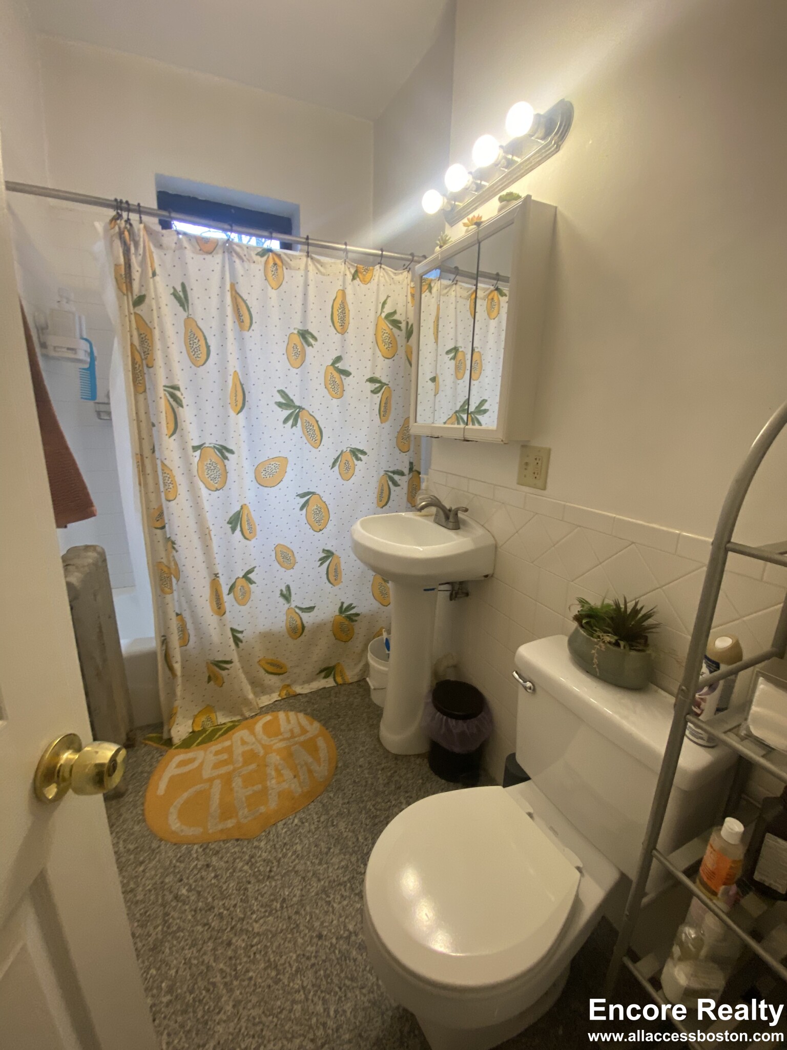 23 Cummings Rd, Brighton