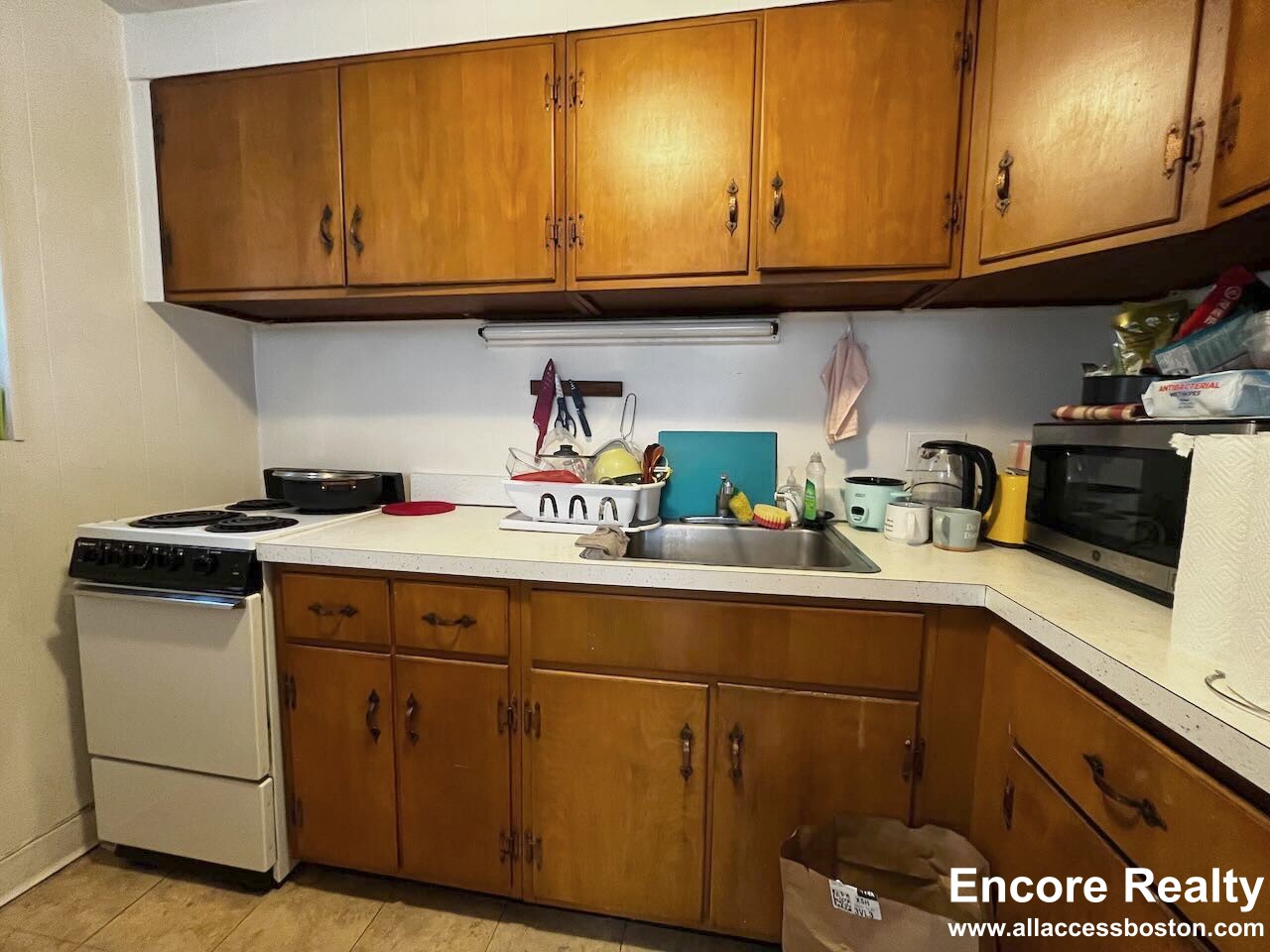 48 Parkman St, Coolidge Corner