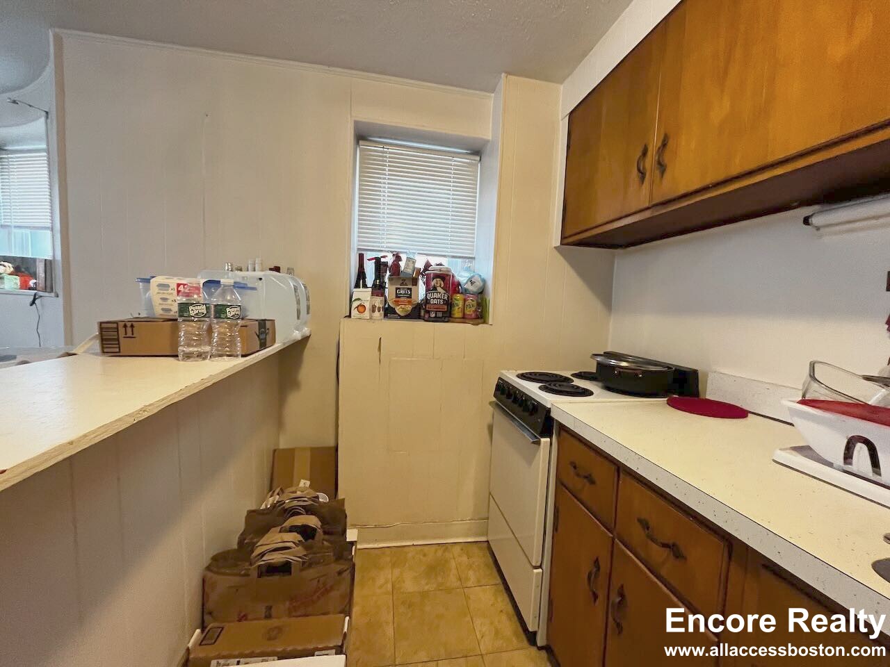 48 Parkman St, Coolidge Corner