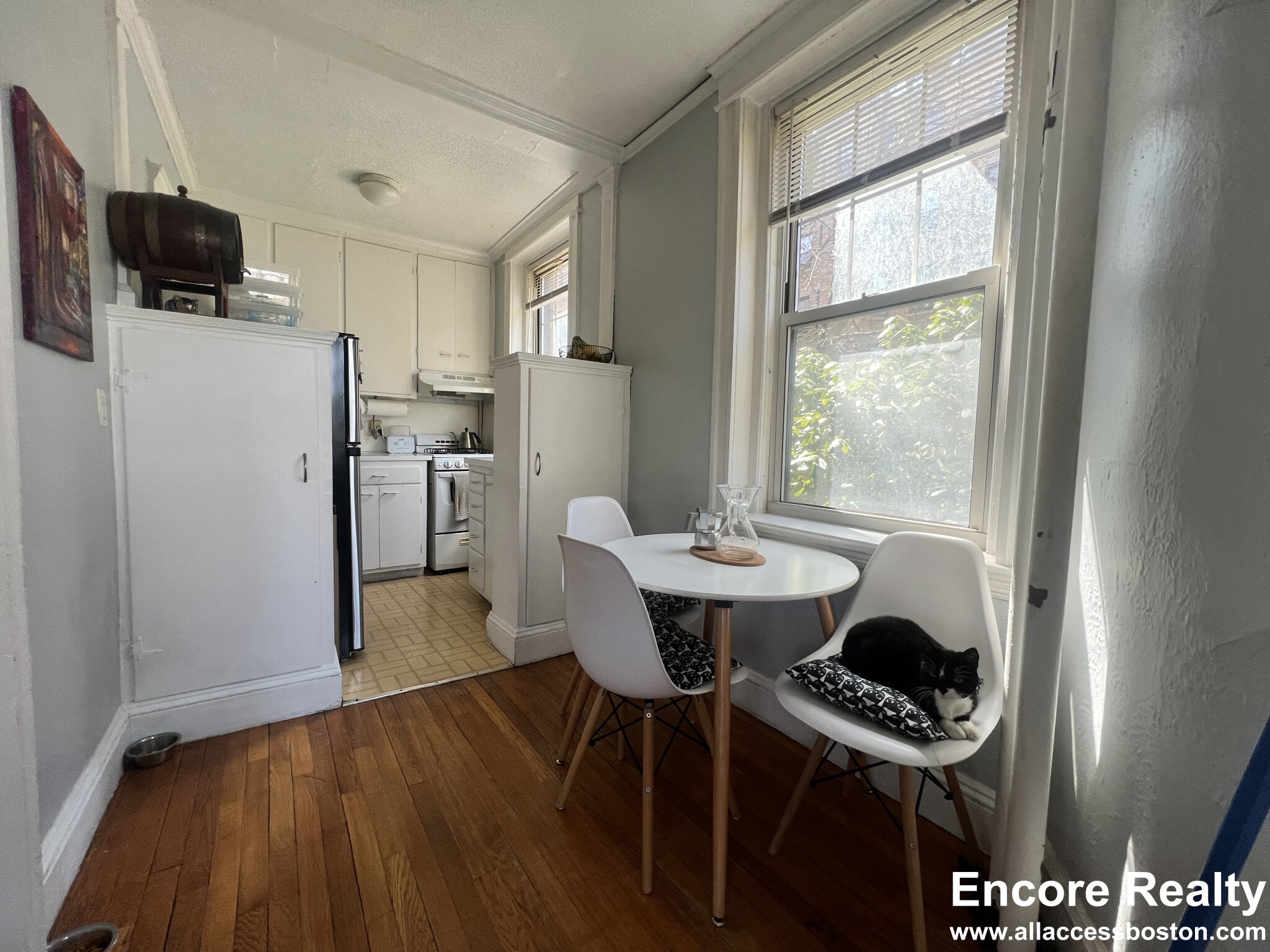 114 Riverway, Fenway