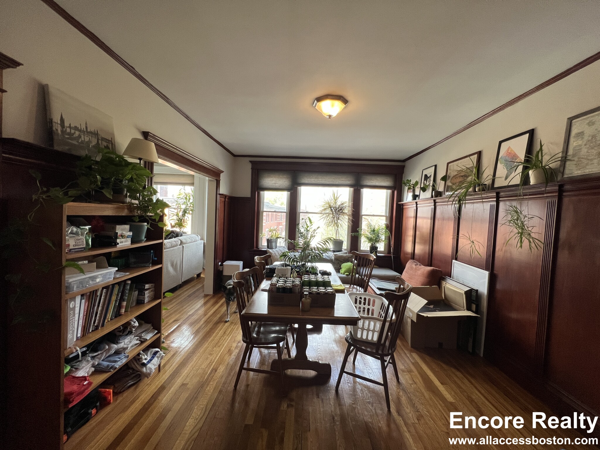 181 Harvard St, Coolidge Corner