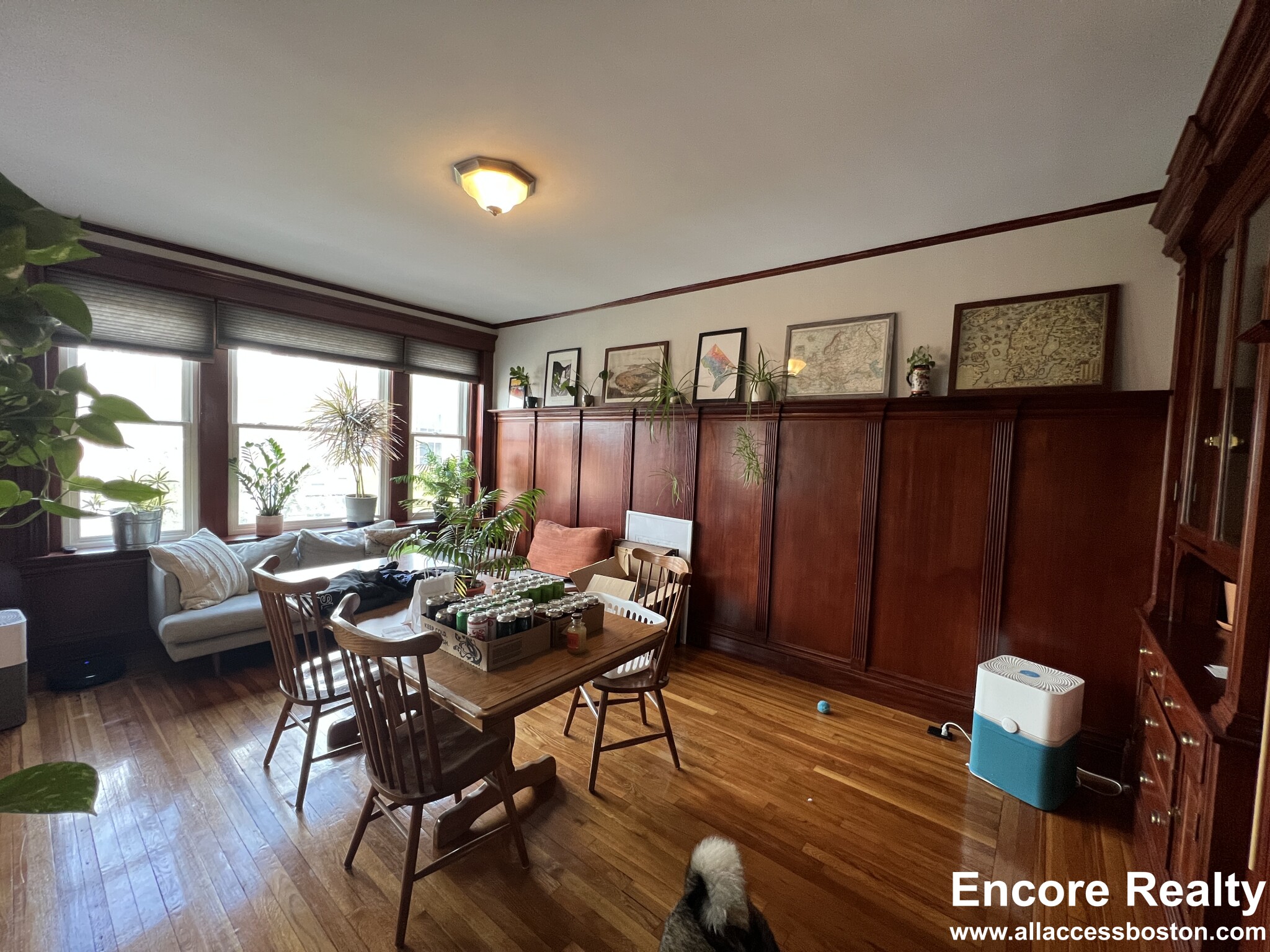 181 Harvard St, Coolidge Corner