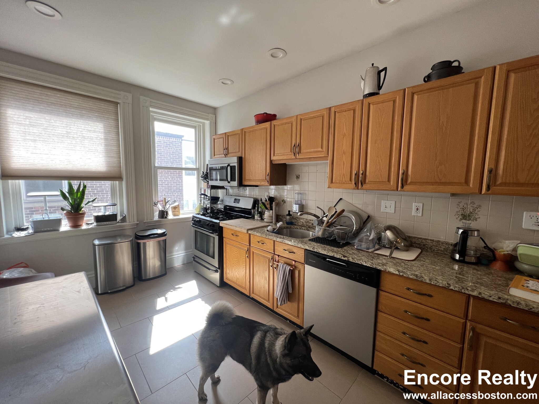 181 Harvard St, Coolidge Corner