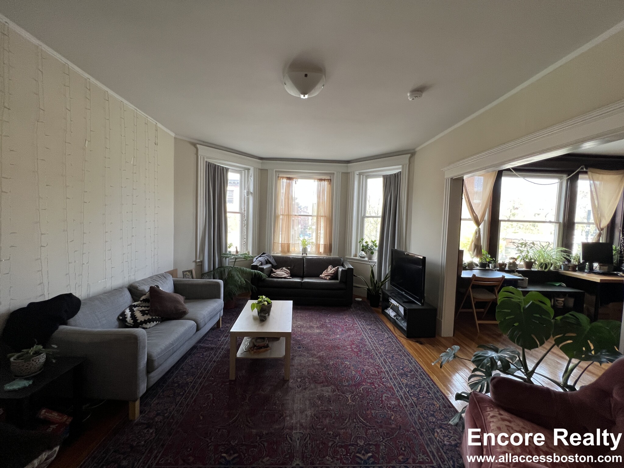 181 Harvard St, Coolidge Corner