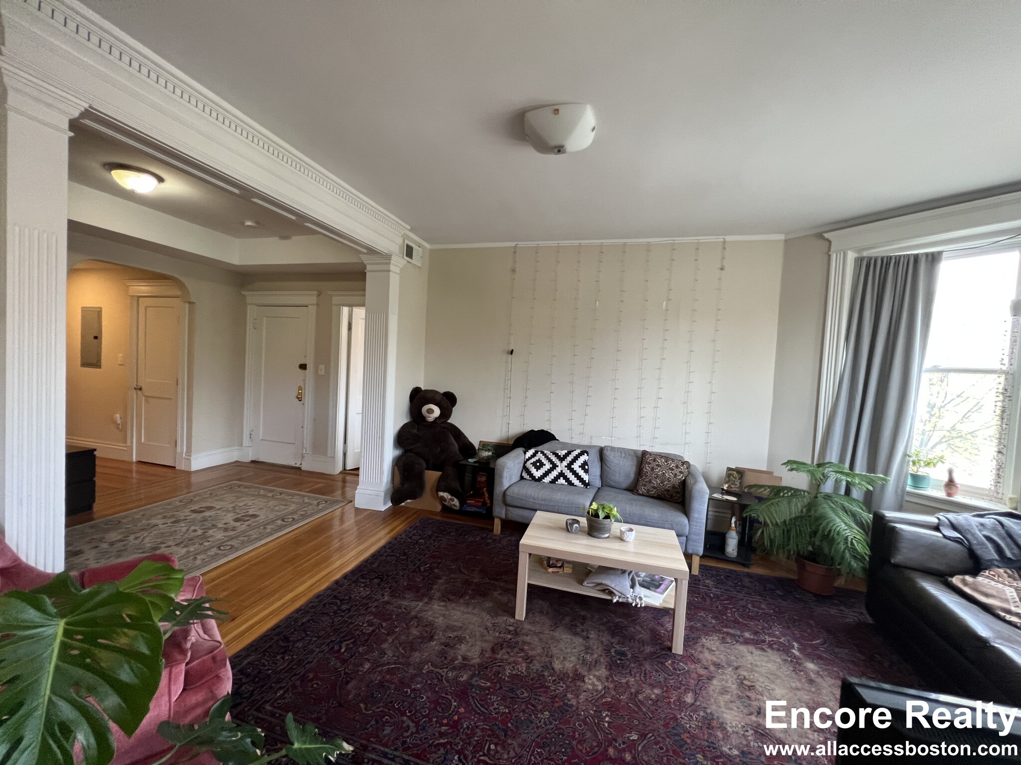 181 Harvard St, Coolidge Corner