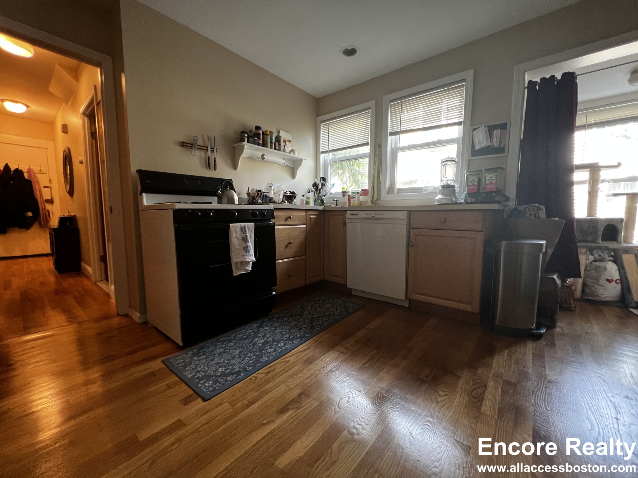 9 Oak Square Ave, Brighton