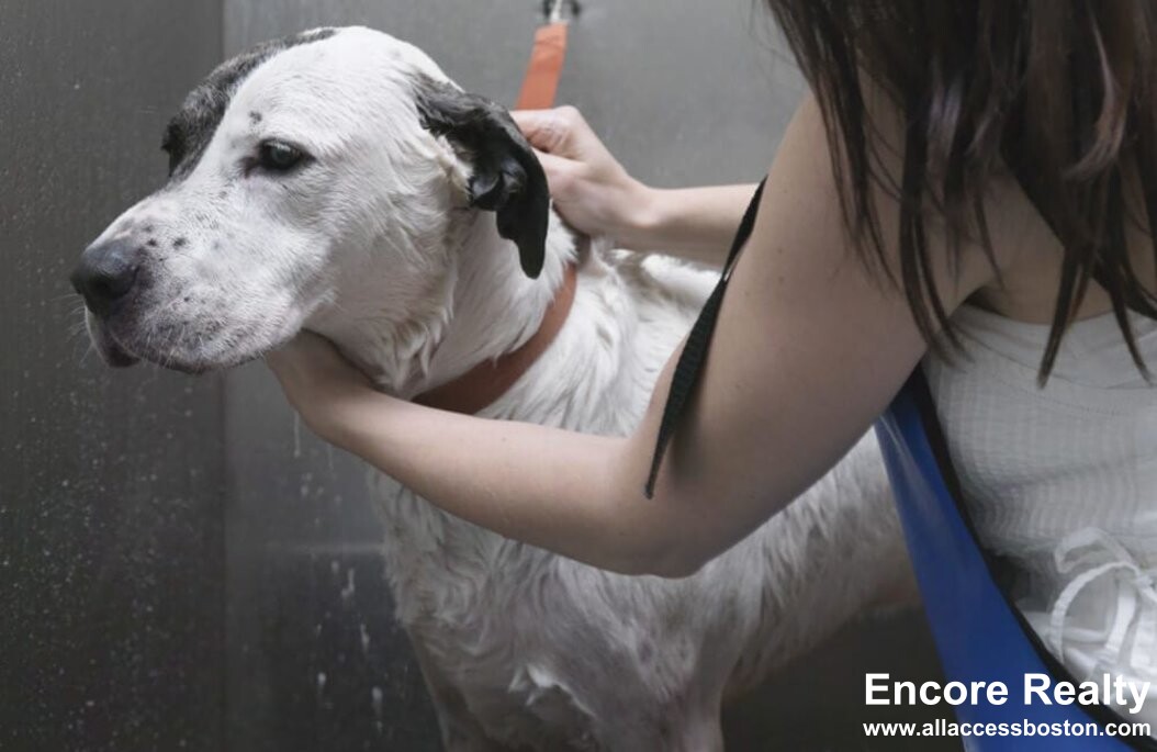 100 Lovejoy Wharf, North End