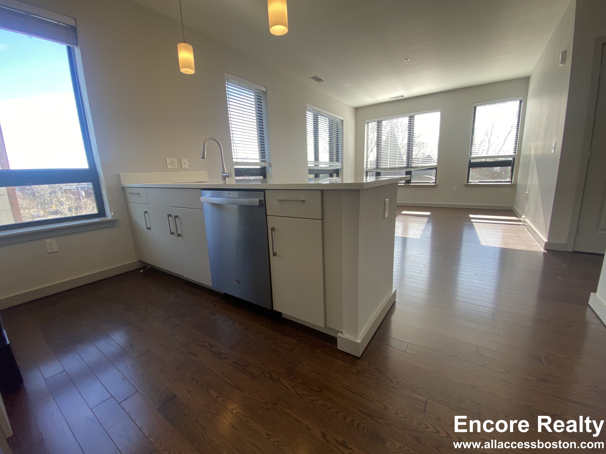 45 Marion St, Coolidge Corner