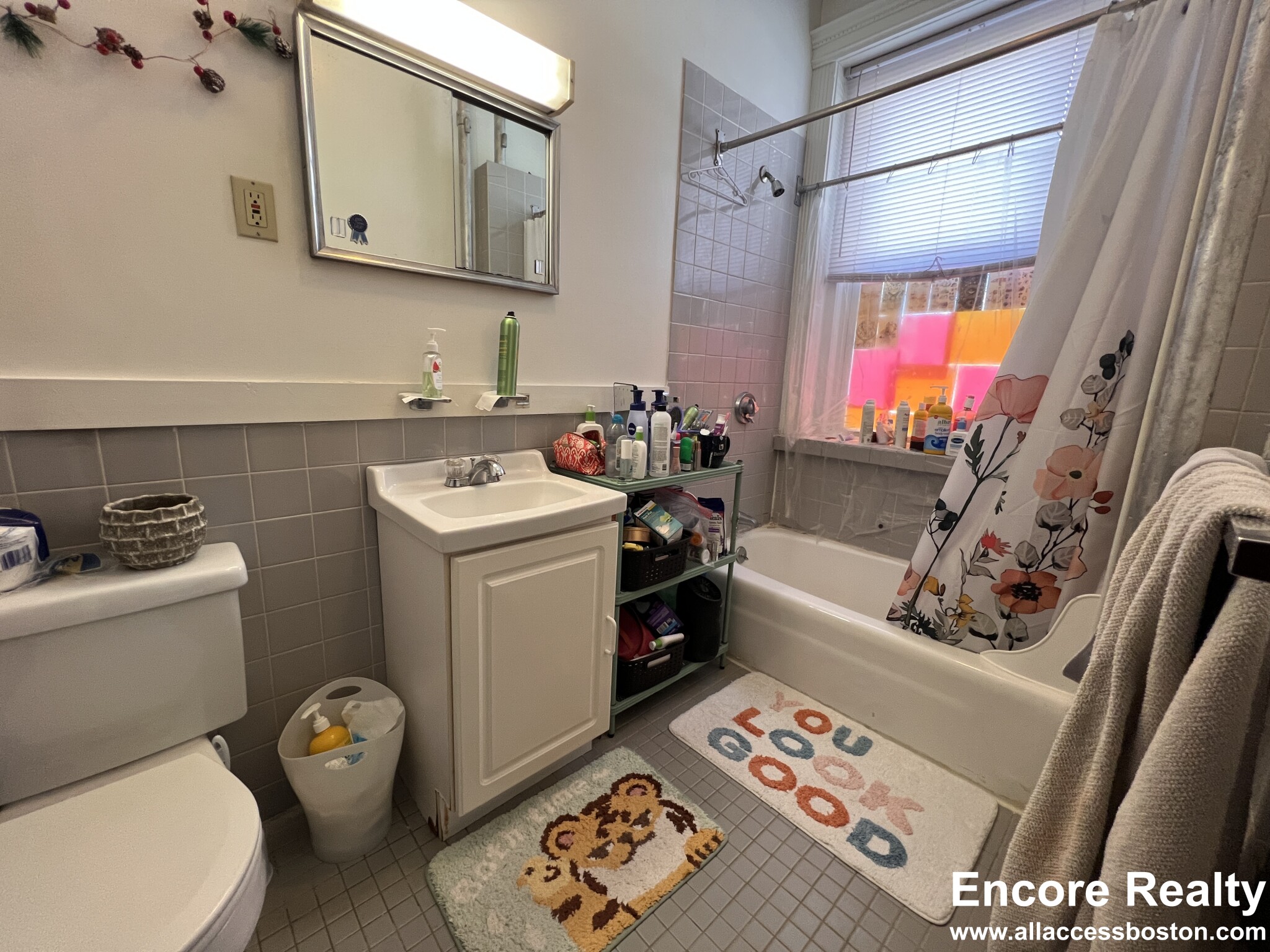 24 Westland Ave, Fenway