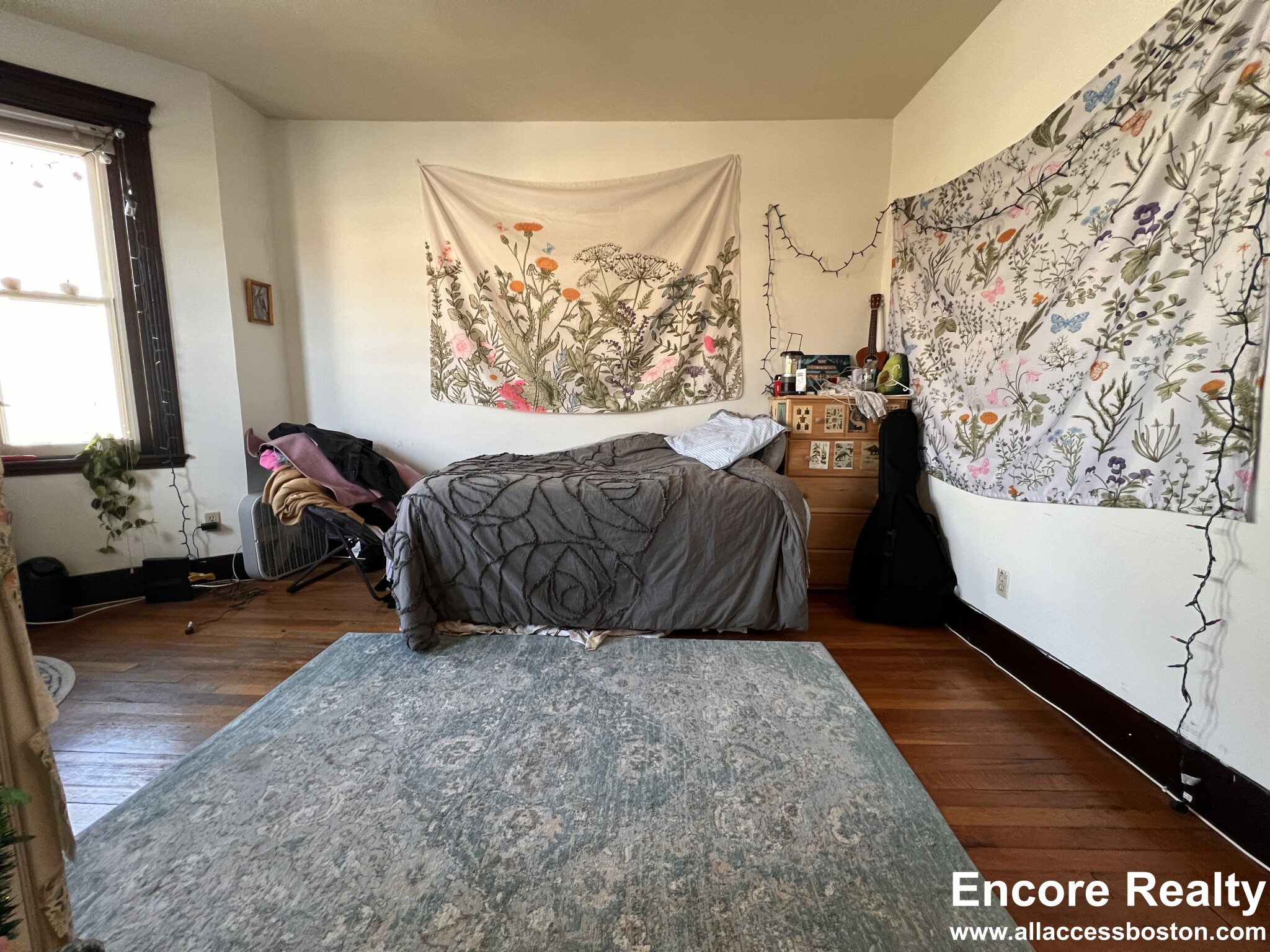 24 Westland Ave, Fenway