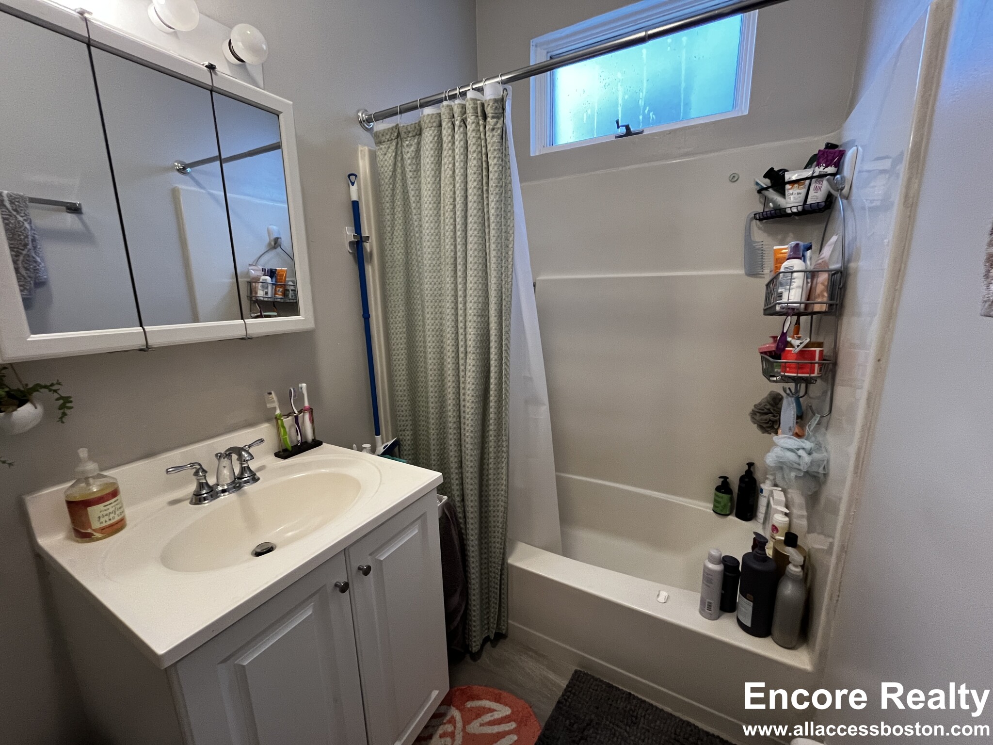 15 Stearns Rd, Coolidge Corner