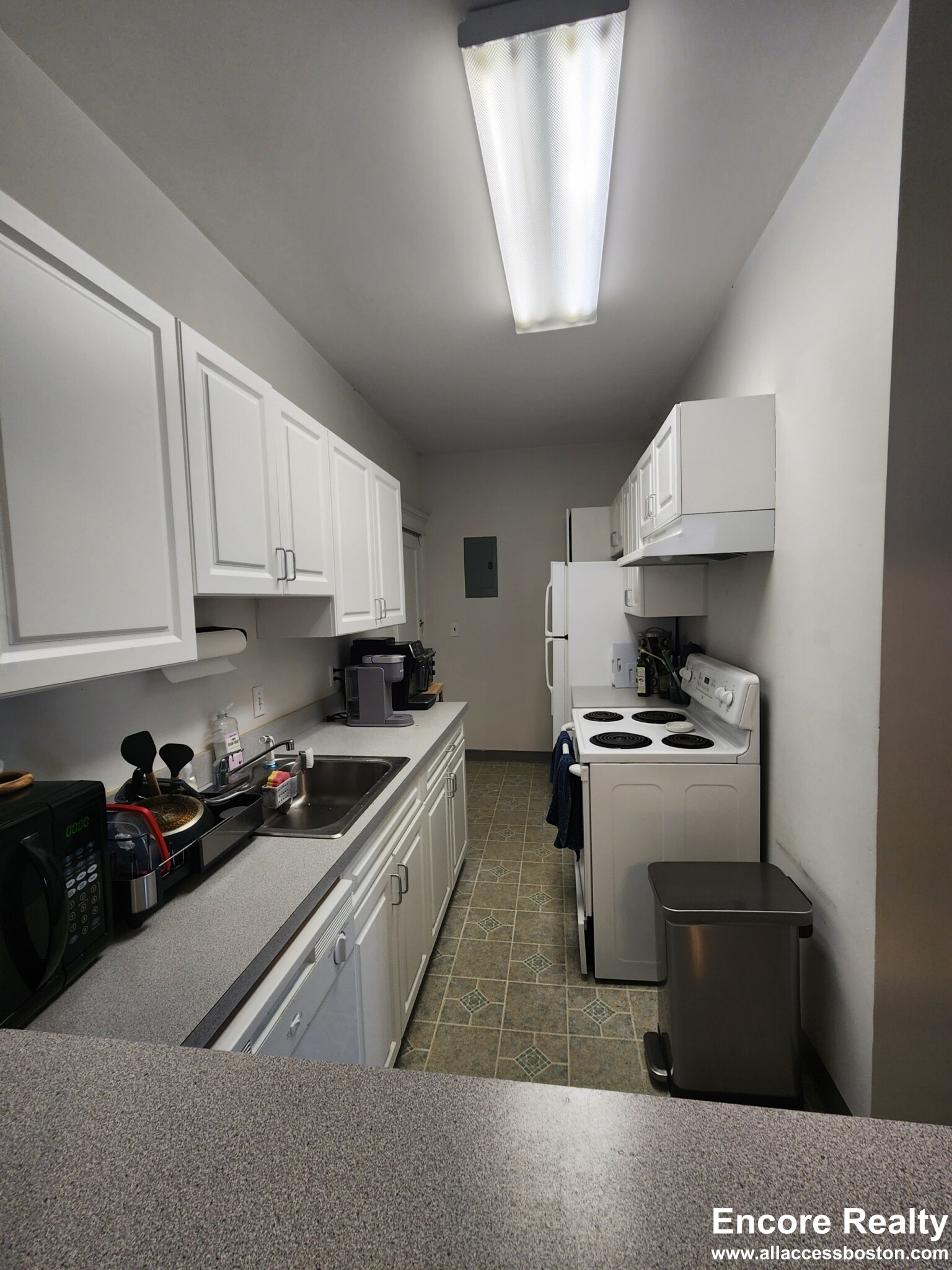 11 Stearns Rd, Coolidge Corner