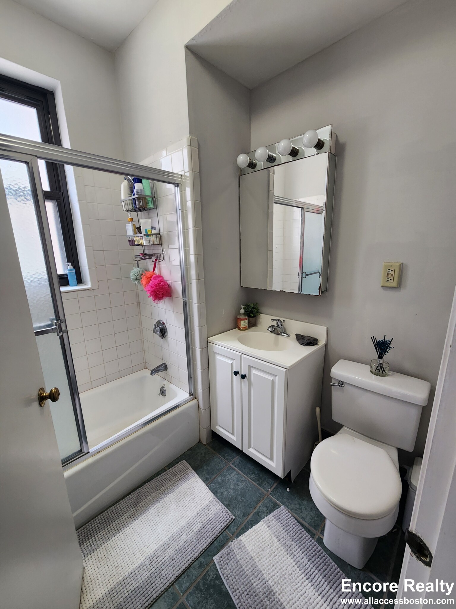 11 Stearns Rd, Coolidge Corner