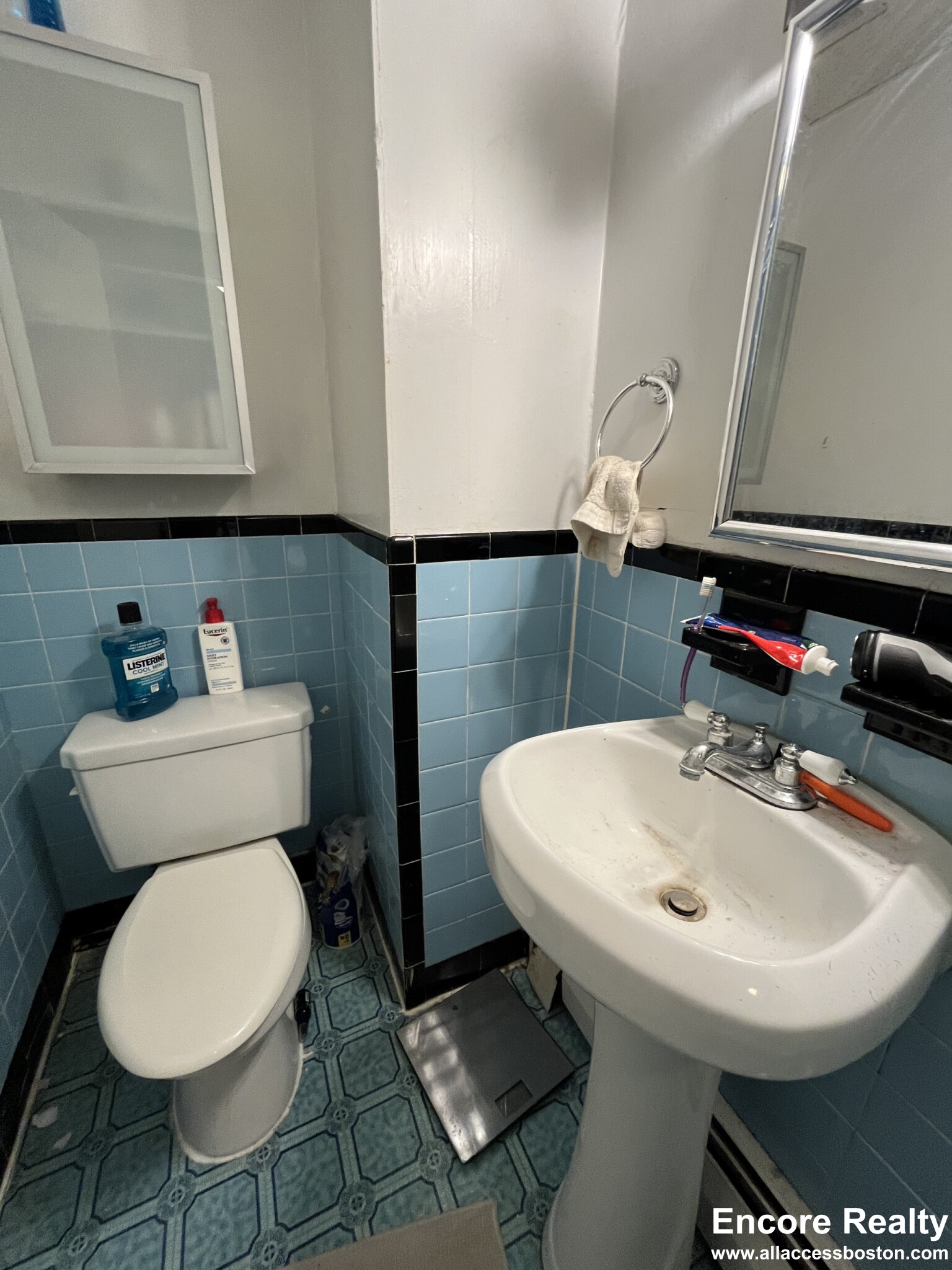 1063 Beacon St, Longwood