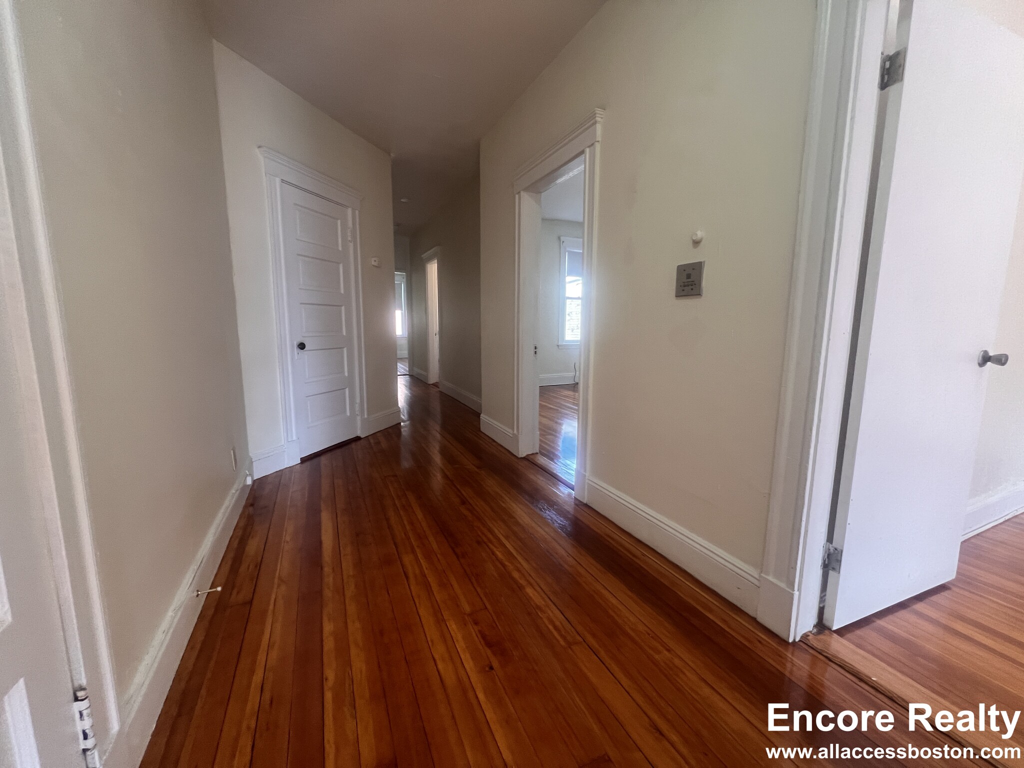 19 Mount Hood Rd, Brighton