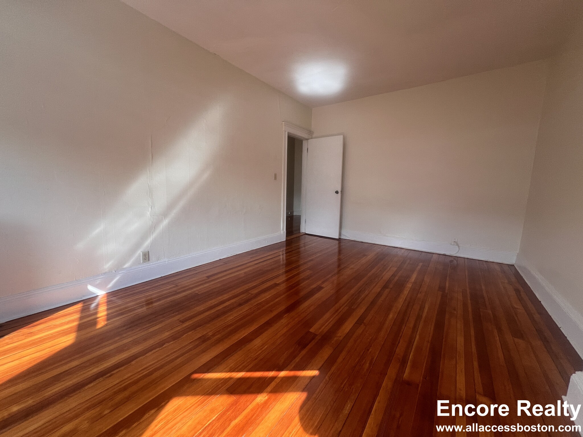 19 Mount Hood Rd, Brighton