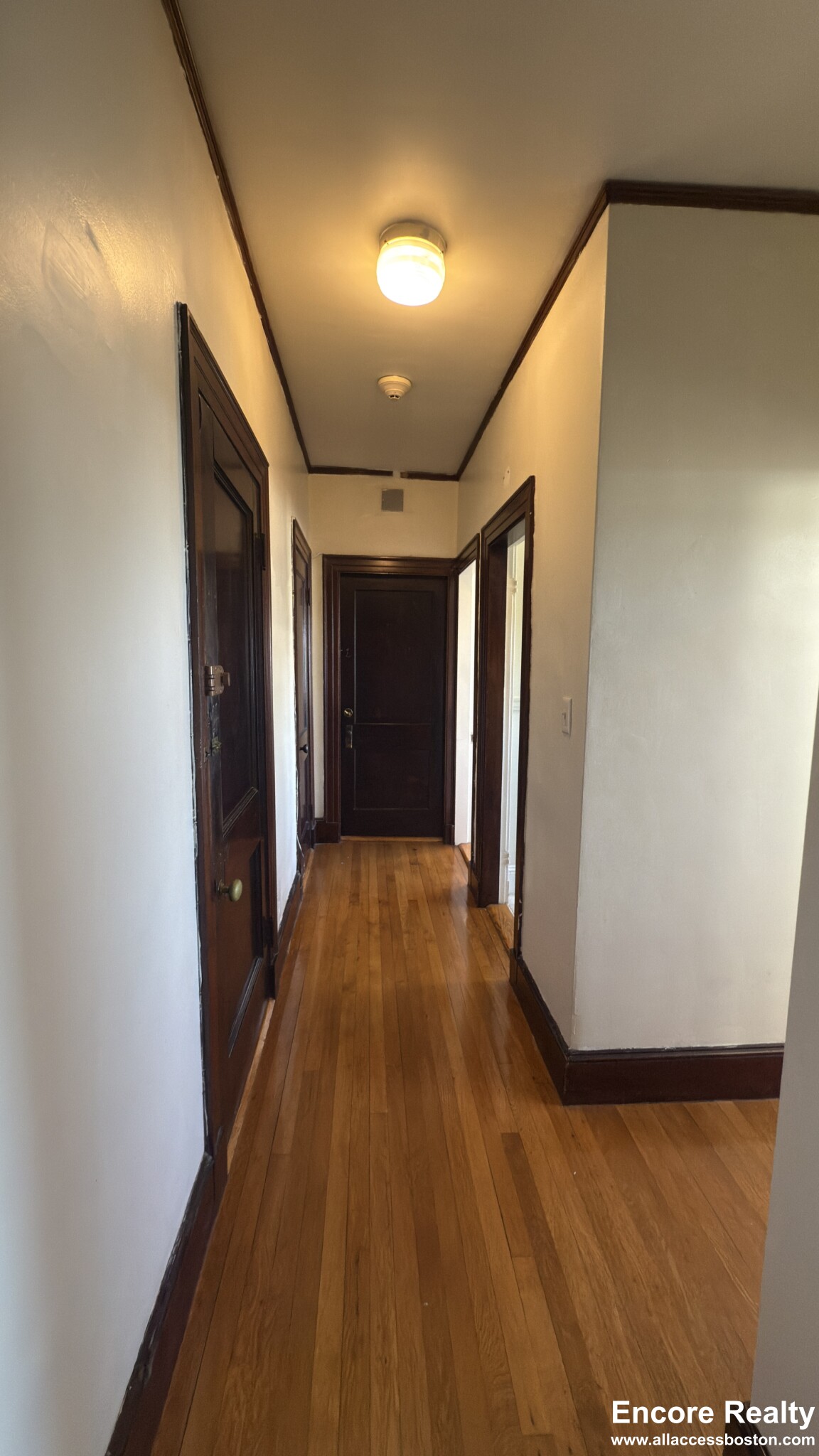 163 Summer St, Spring Hill