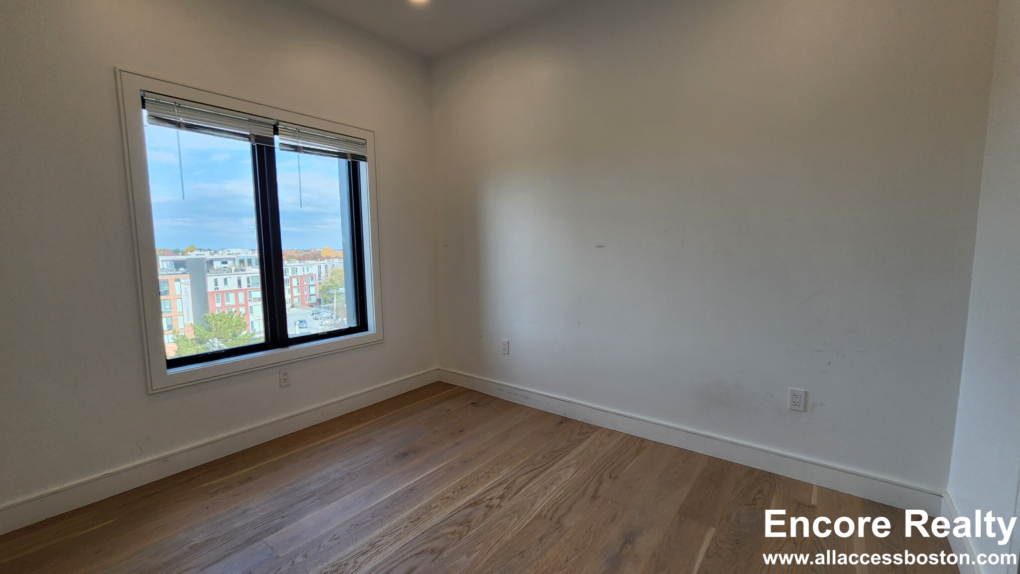 50 Leo M Birmingham Pkwa, Brighton