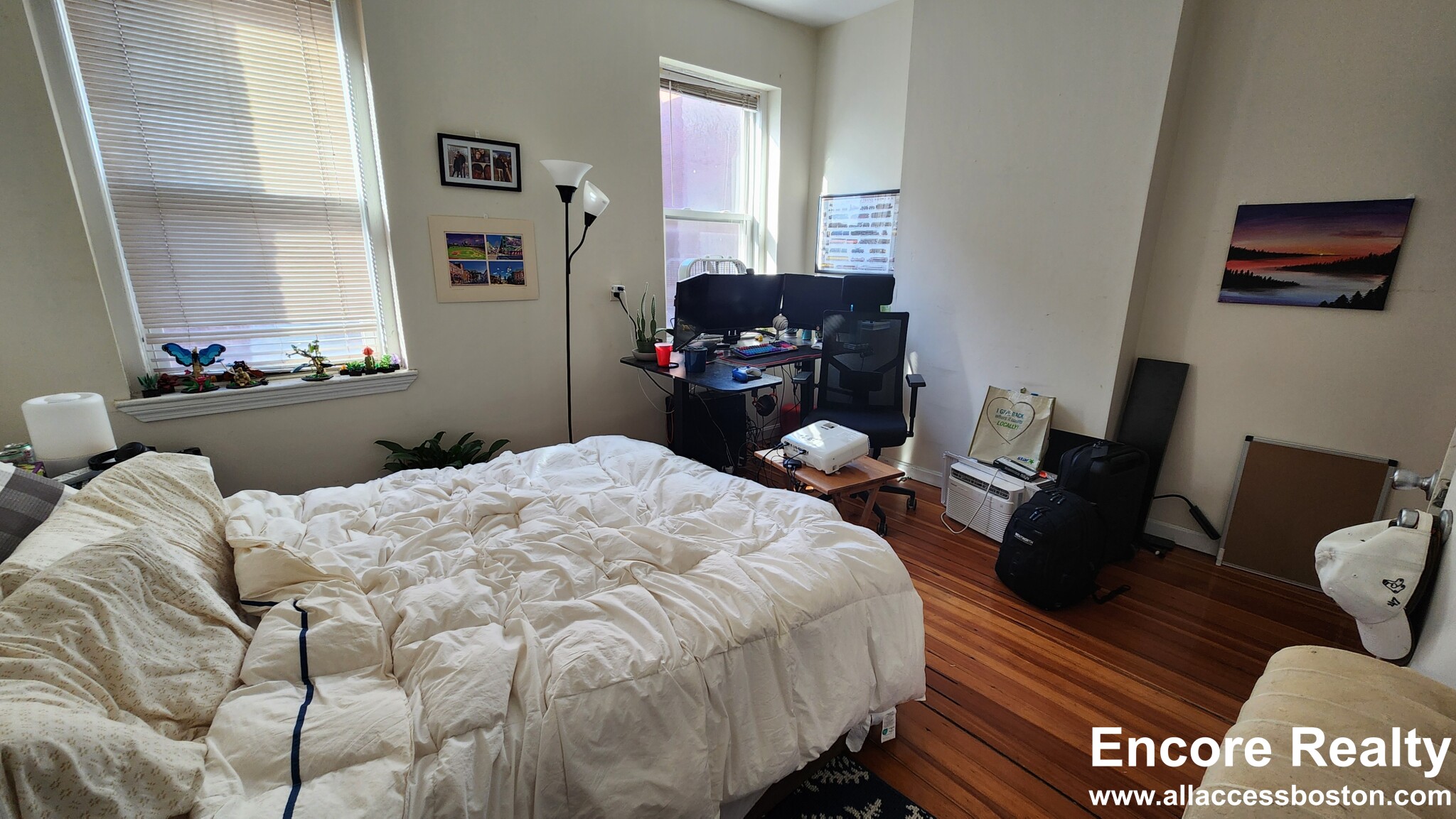 19 Aberdeen St, Fenway