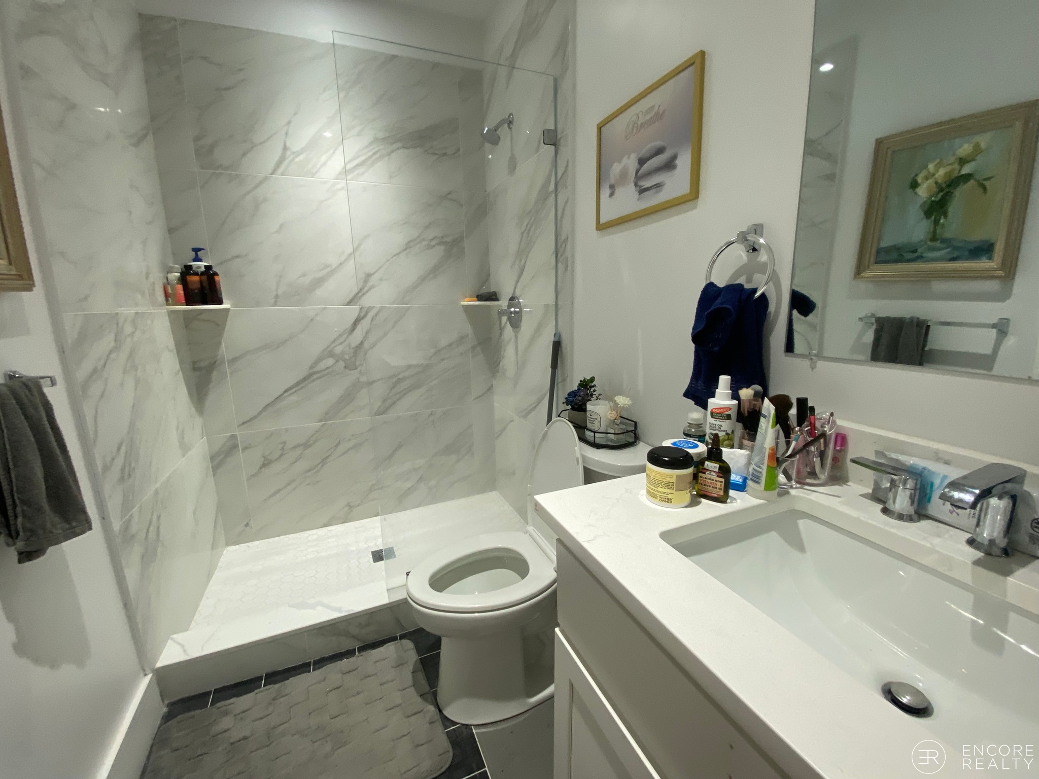 Photos of apartment on Regent Cir.,Brookline MA 02445