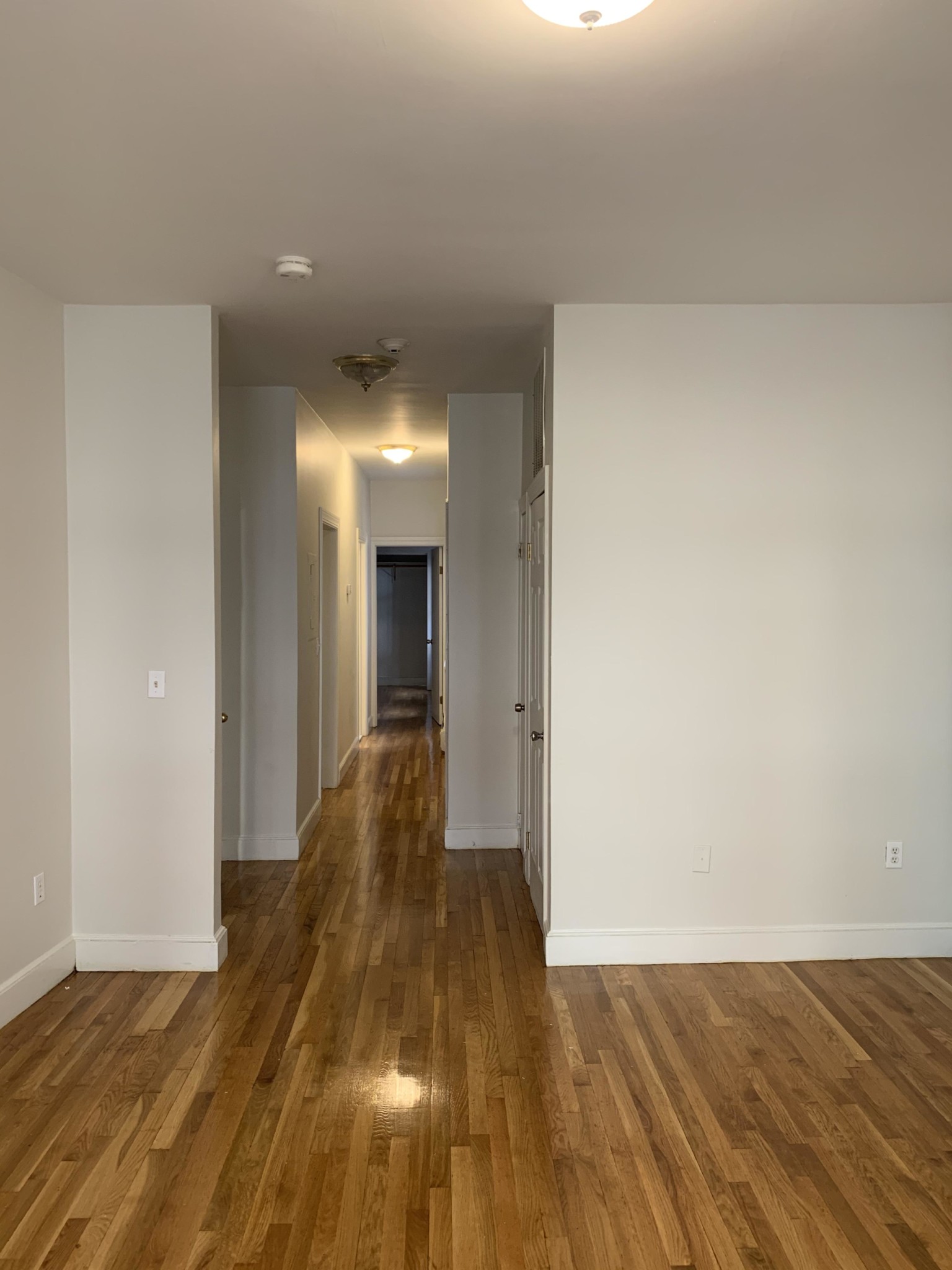 36 Cunard St, South End