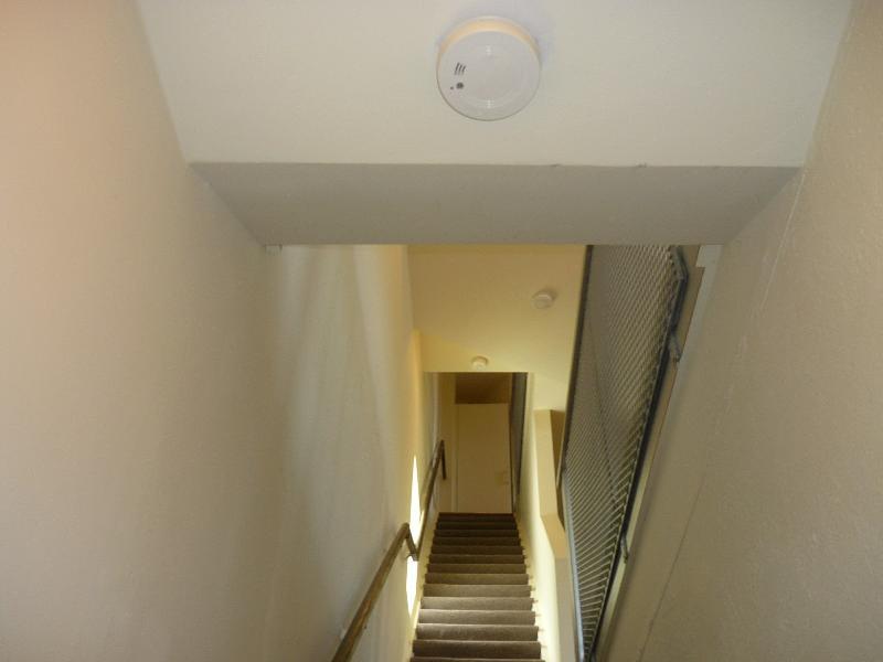 2 bed, 1.5 bath apartment for rent at 111 Terrace St Unit 0, Mission Hill — photo 3 of 19
