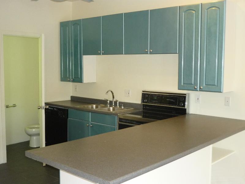2 bed, 1.5 bath apartment for rent at 111 Terrace St Unit 0, Mission Hill — photo 8 of 19