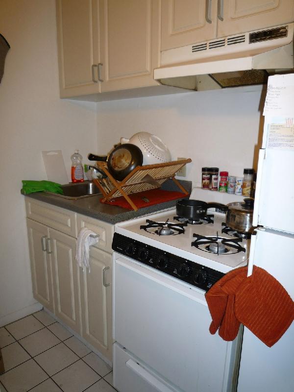 1 bed, 1 bath apartment for rent at 241 West Newton Unit 9, South End — photo 1 of 10