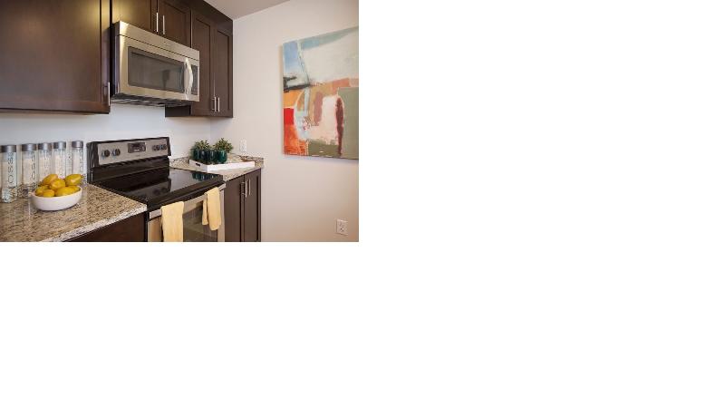 2 bed, 2 bath apartment for rent at 225 Centre St Unit 620, Jamaica Plain — photo 2 of 10