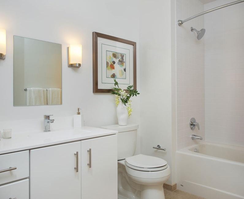 2 bed, 2 bath apartment for rent at 225 Centre St Unit 620, Jamaica Plain — photo 4 of 10