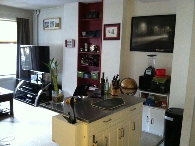 1 bed, 1 bath apartment for rent at 241 West Newton Unit 9, South End — photo 3 of 10