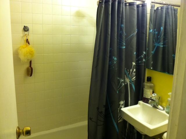 1 bed, 1 bath apartment for rent at 241 West Newton Unit 9, South End — photo 7 of 10