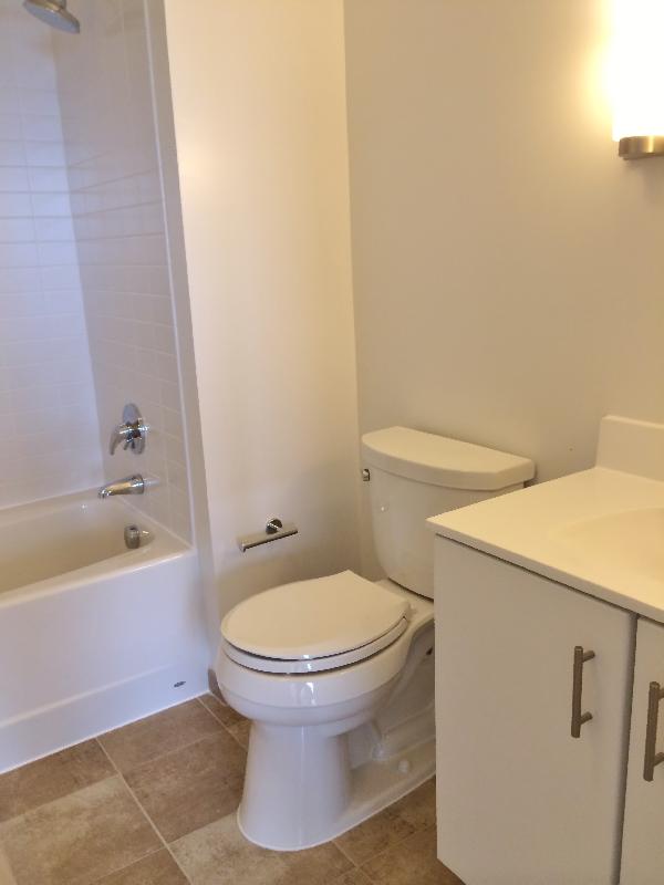 2 bed, 2 bath apartment for rent at 225 Centre St Unit 620, Jamaica Plain — photo 5 of 10