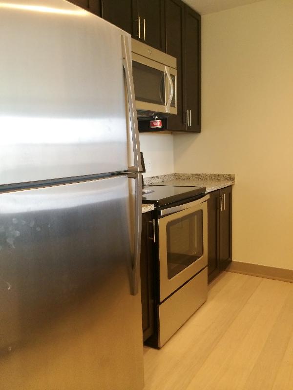 2 bed, 2 bath apartment for rent at 225 Centre St Unit 620, Jamaica Plain — photo 6 of 10
