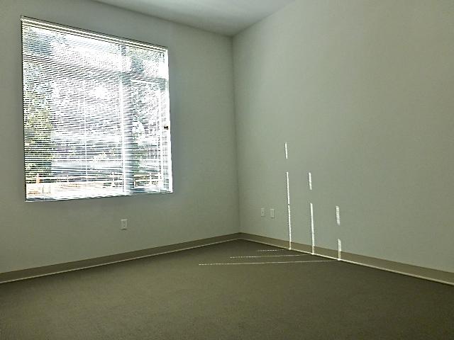 1.5 bed, 1 bath apartment for rent at 161 South Huntington Unit 101, Jamaica Plain — photo 16 of 33