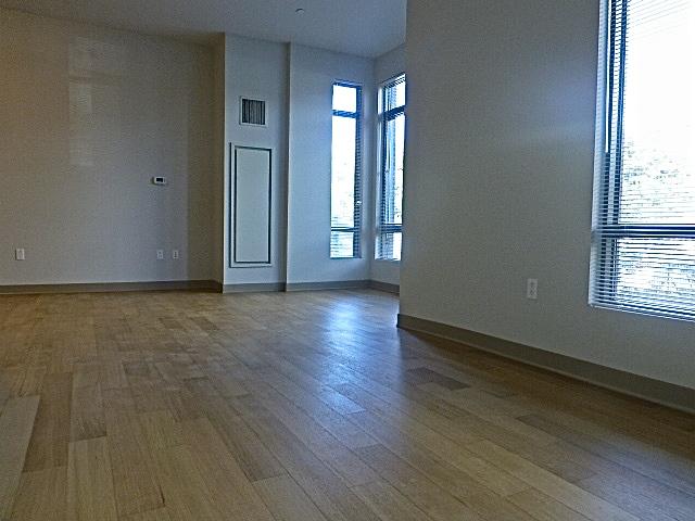 1.5 bed, 1 bath apartment for rent at 161 South Huntington Unit 101, Jamaica Plain — photo 17 of 33