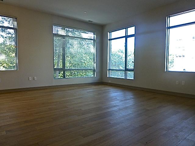1.5 bed, 1 bath apartment for rent at 161 South Huntington Unit 101, Jamaica Plain — photo 27 of 33