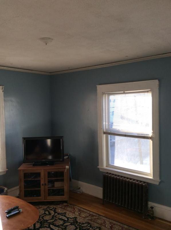 5 bed, 2 bath apartment for rent at 45 Montcalm Ave Unit 2, Brighton — photo 12 of 15