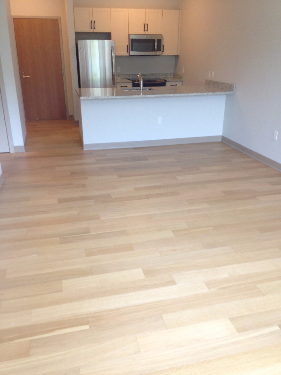 1 bed, 1 bath apartment for rent at 161 South Huntington Unit 102, Jamaica Plain — photo 6 of 47